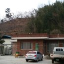 매실향기 이미지