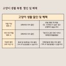 고양이 생활 호텔 이미지