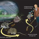 광주주사랑의원 이미지