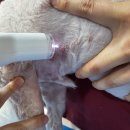 이을동물병원 이미지