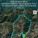 대문고개로 Daum카페