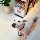 강산동물병원 이미지