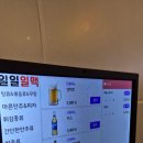 일일일맥