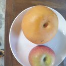 하촌농장 이미지