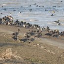 용산-이촌-327 이미지