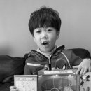 자란다프로젝트 이미지