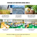 아리랑식품 네이버블로그