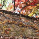 돌담추억 이미지