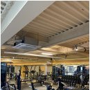 브로피트니스 이미지