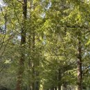 삼경한우촌 이미지