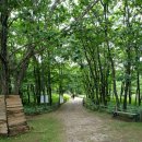 무회축산 | 강원도 태백 여행 2 (여름휴가)