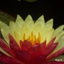 연리지 - 군포시 당정역로4번길 11 | 연리지