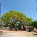 명당2리 마을회관 | 포천 무봉리 영조 옹주 태실 태함과 비석.무봉리 3•1운동 만세시위지.무봉2리마을회관