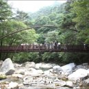 해인사소리길 이미지