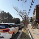 조피나메밀묵 | 울산대공원 근처 부모님과 함께 방문하기 좋은 한식 맛집 조피나메밀묵