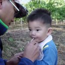 하울농장 이미지