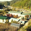 곤드레산채밥 이미지