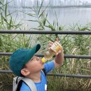 도당태권도장 이미지