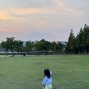 노을 어린이공원 앞 | 🌳[의왕 아이랑 가볼만한곳] 왕송호수공원 놀이터 리뉴얼 후기! 애견동반 산책, 노을까지 완벽했던 하루🌿