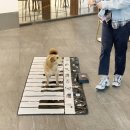 (주)한국반려동물아카데미 이미지