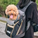 지게의집 | 강아지 백팩 추천, 아이캔더 지게백 AB백