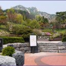 장미길코스 Daum카페