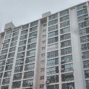 봉선동대화아파트 네이버블로그