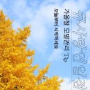 큐사랑 연일점