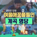 여울애꽃물들인 티스토리