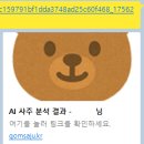 사주로 보는 나의 성격심리 | 곰사주로 간편하고 편안하게 무료사주보기