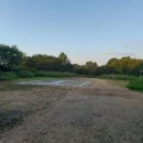 개화산 자락길 | 개화산자락길 걷다 3