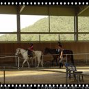 곡성-169 이미지