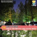 풀꽃이랑캠핑장 이미지