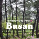 대천천누리길 화장실 이미지