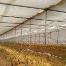 황태자농장 이미지