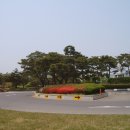 금락1리 이미지