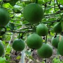 담비농장 이미지