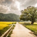 호텔 영천 이미지