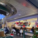 엠파이어 | 코엑스 멕시칸 맛집 더타코부스 NYC 코엑스점 엠파이어 파히타 타워 후기