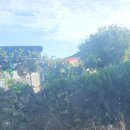 만택이네돌담집 이미지