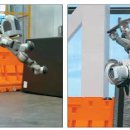 공중제비 이미지