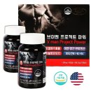 에버그린 이미지