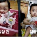 정인 이미지