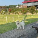 댕그라운드 이미지