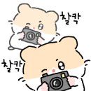 경성주막1929(사우점) 이미지