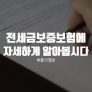 전세금 보증보험에 대해 알아볼게요. 이미지