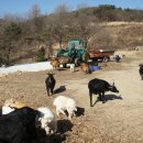 송재농장 이미지