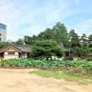 미추홀공원 다례원 이미지