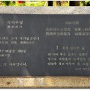 측백나무숲 주차장 이미지