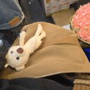 데일리브라운 | FREZIMAL 데일리 캔버스 가방 FZ-01A 브라운 실사용 후기입니다